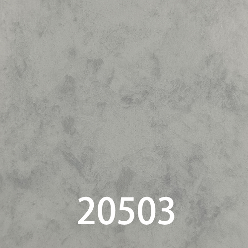 20503的封面